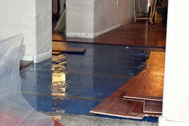 Professional Basement Flood Cleanup technician working in Newcomerstown, OH